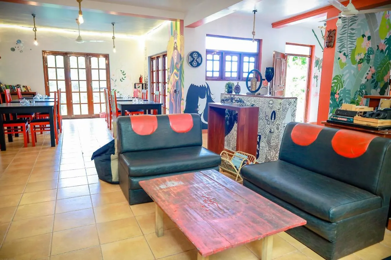 Funk Bunk - Mount View Lodge Kandy Sri Lanka