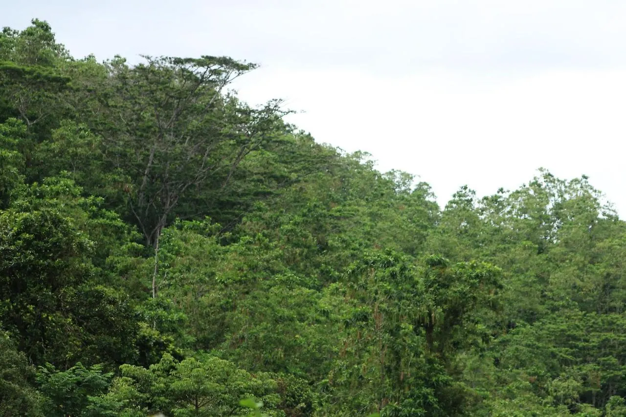 Funk Bunks - Mount View Sri Lanka